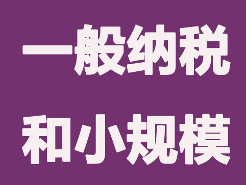 如何區(qū)分一般納稅人和小規(guī)模納稅人