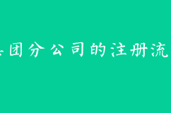 集團(tuán)分公司的注冊流程